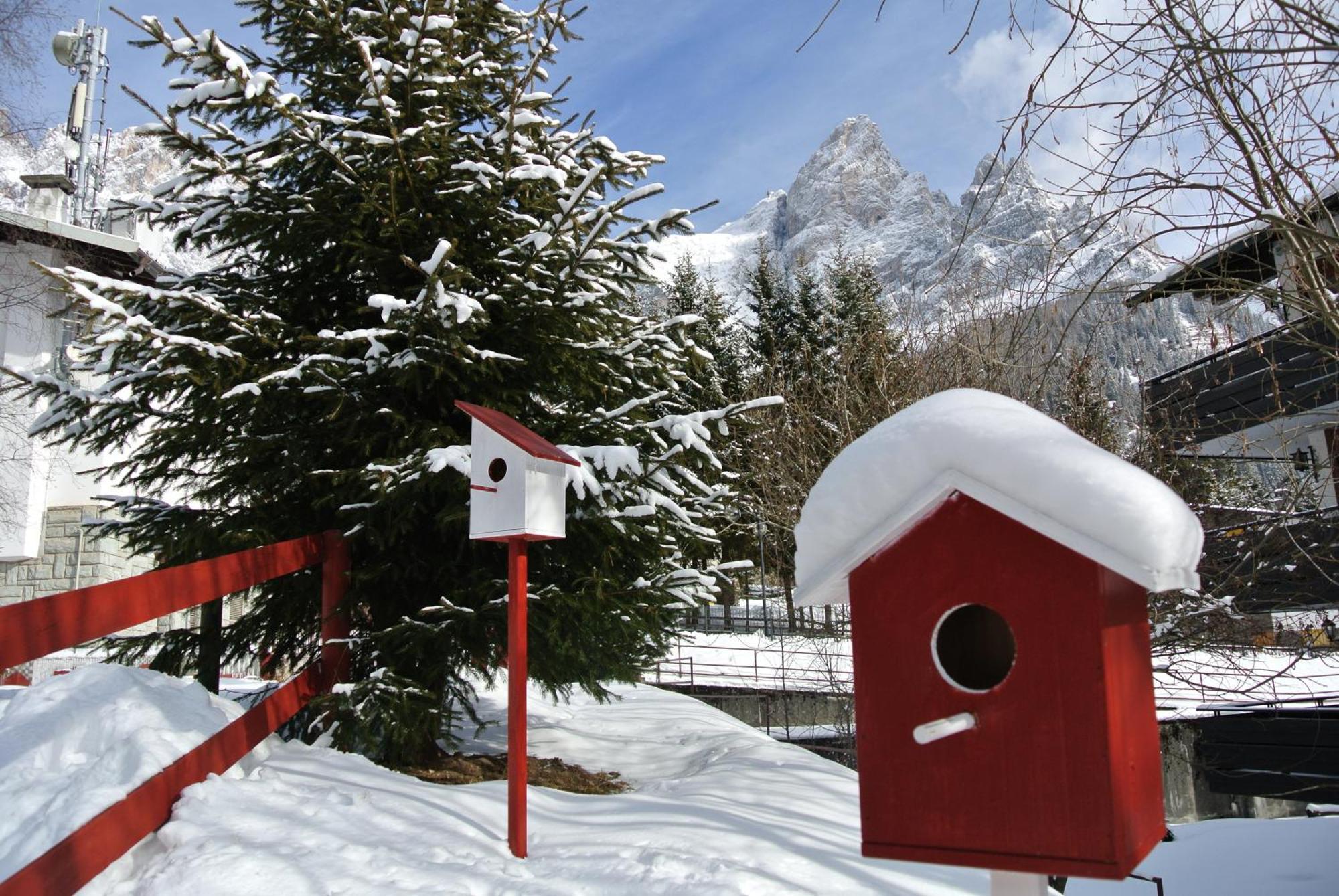 Hotel Regina San Martino Di Castrozza Extérieur photo