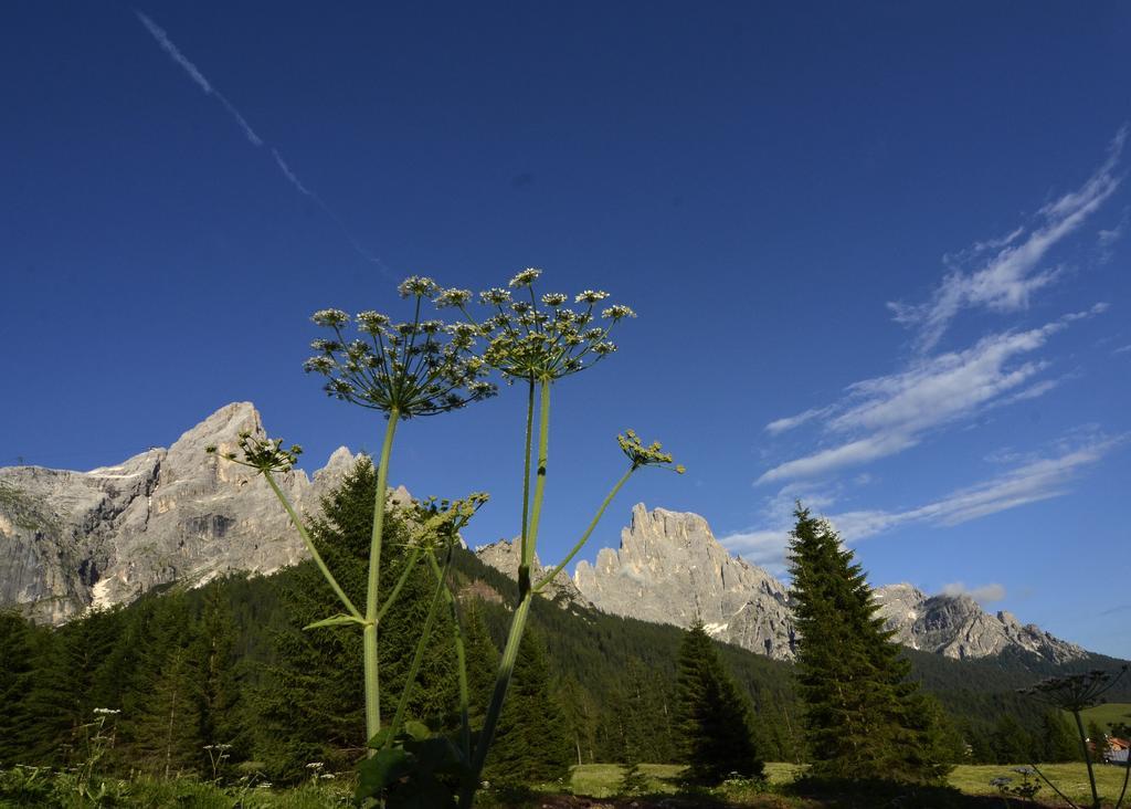 Hotel Regina San Martino Di Castrozza Extérieur photo